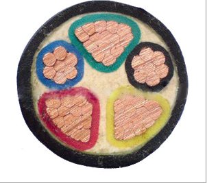 a1e8e02dc86949de908a4ae2130c3834