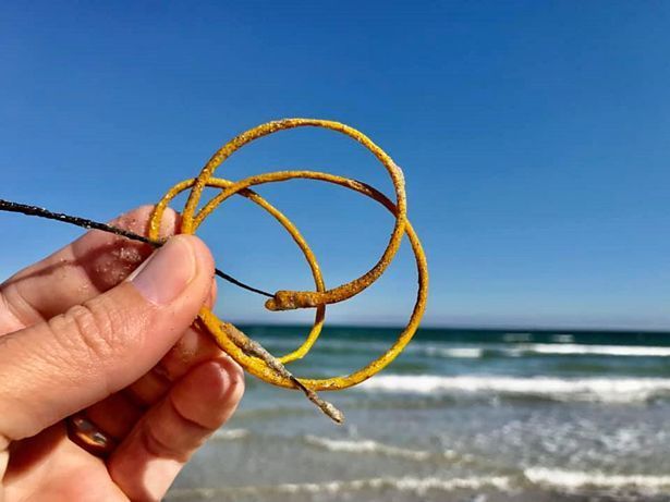 墨西哥湾的海底拥有一种有生命...