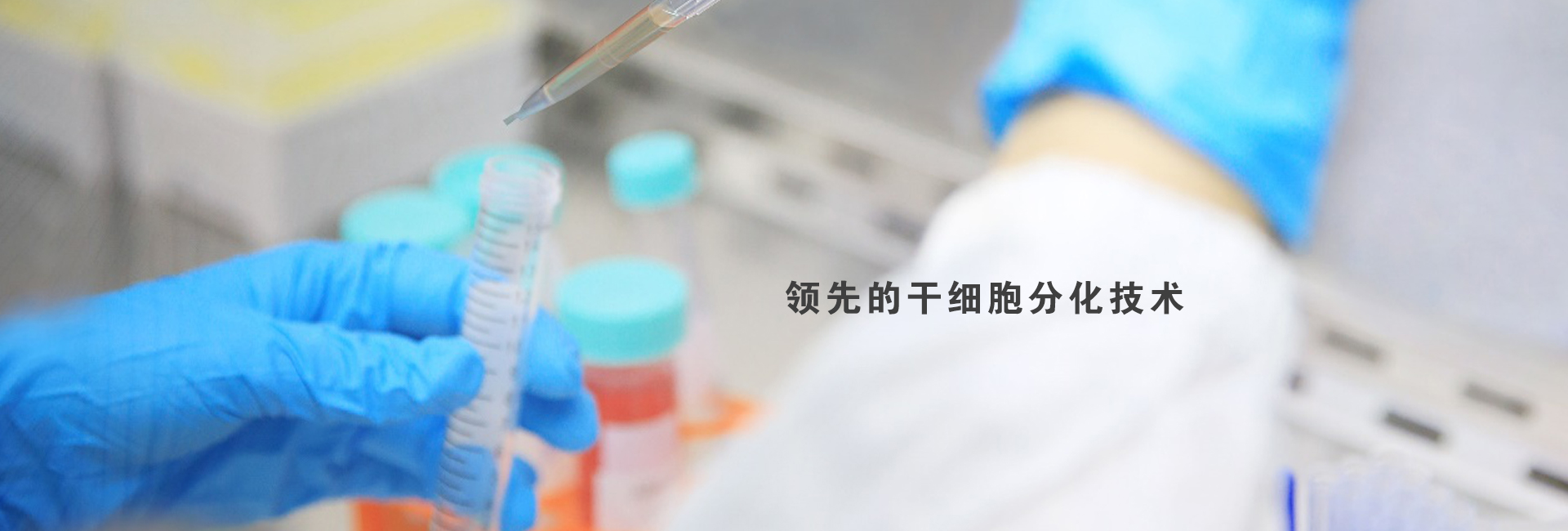 再生醫療　〜研究・實踐支援〜 iPSc|人类诱导多能干细胞|人源间充质干细胞|人源神经干细胞|人源