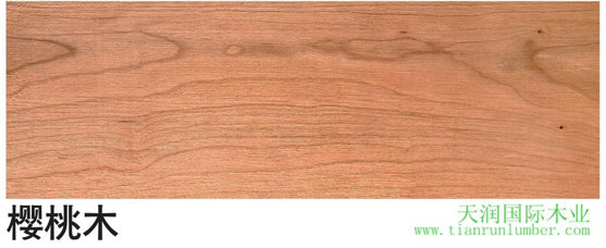 美狮贵宾会 - 首页