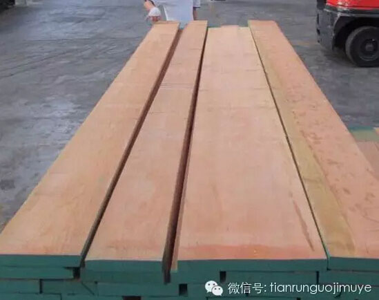 美狮贵宾会 - 首页