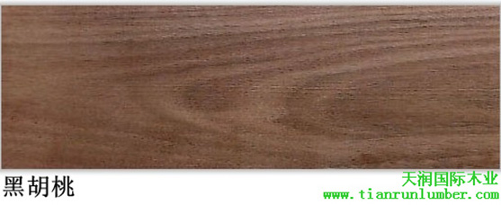 美狮贵宾会 - 首页