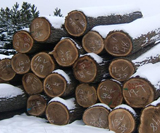 美狮贵宾会 - 首页